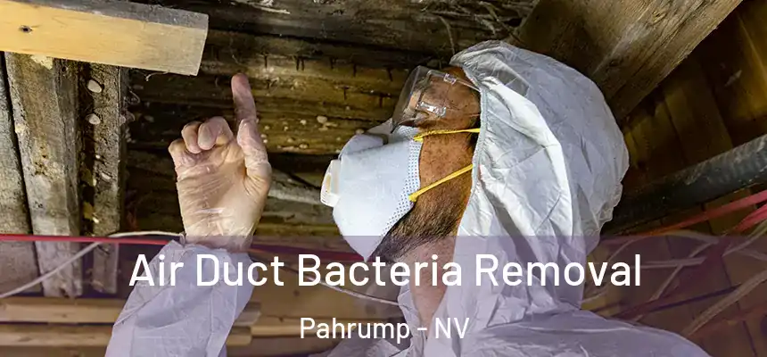  Air Duct Bacteria Removal Pahrump - NV