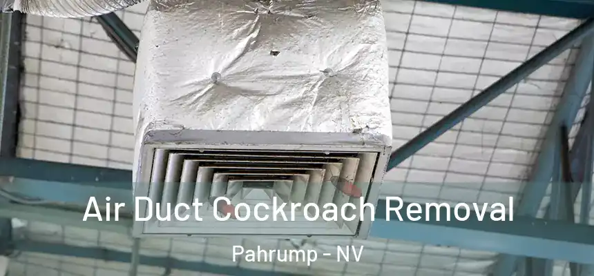  Air Duct Cockroach Removal Pahrump - NV