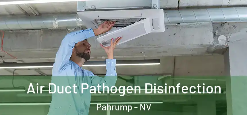  Air Duct Pathogen Disinfection Pahrump - NV