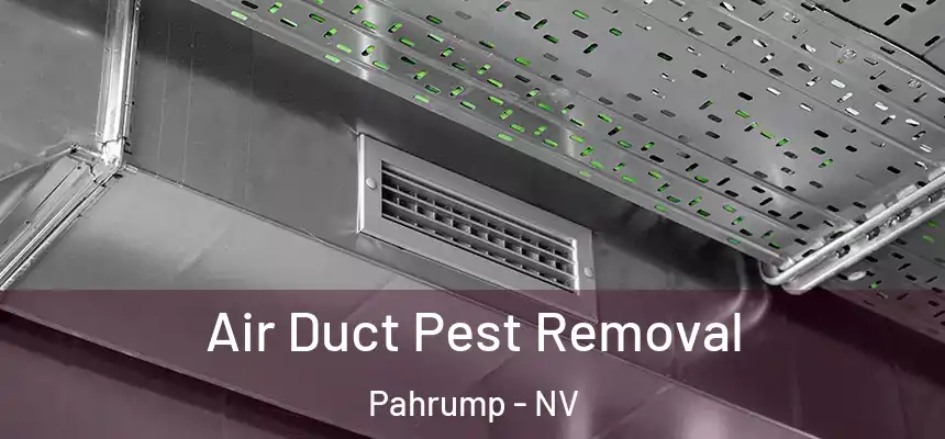  Air Duct Pest Removal Pahrump - NV