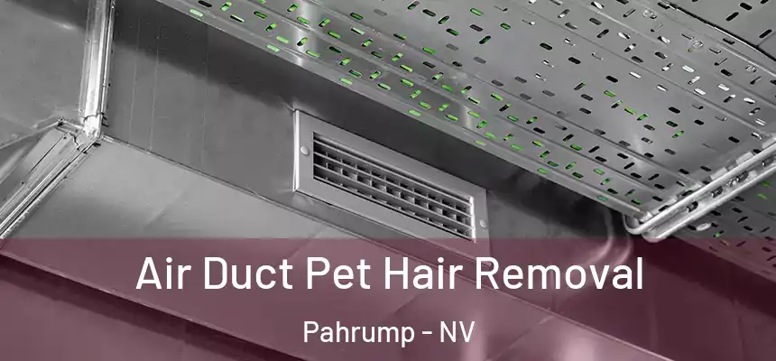  Air Duct Pet Hair Removal Pahrump - NV