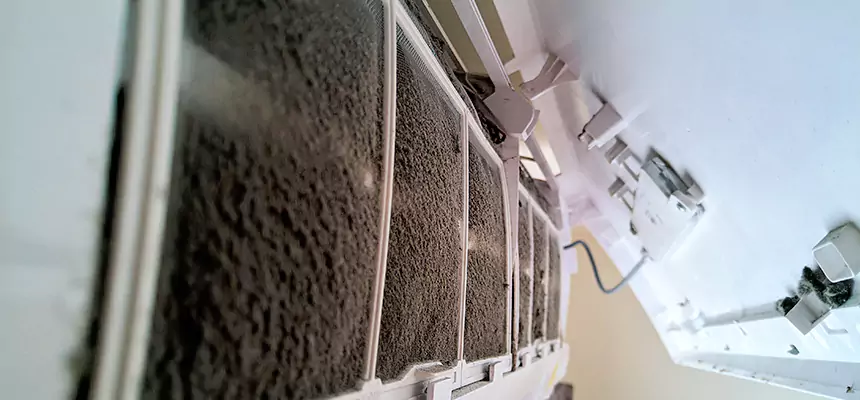 Preventive Air Duct Bacteria Removal in Pahrump