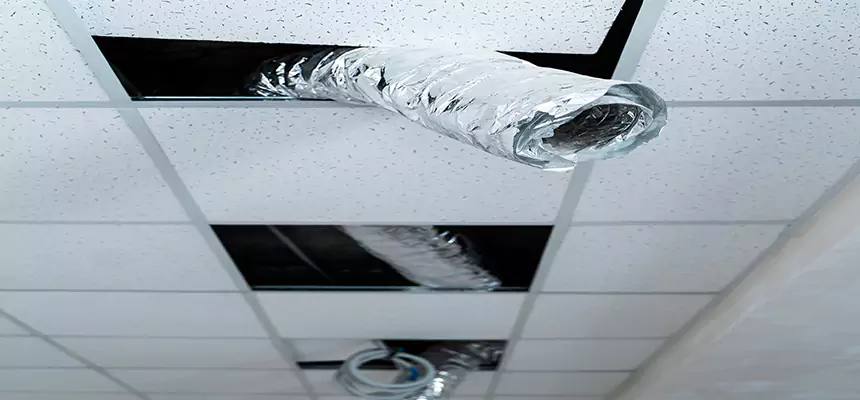 Our Air Duct Pet Hair Removal Services in Pahrump, NV