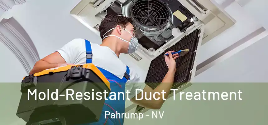  Mold-Resistant Duct Treatment Pahrump - NV
