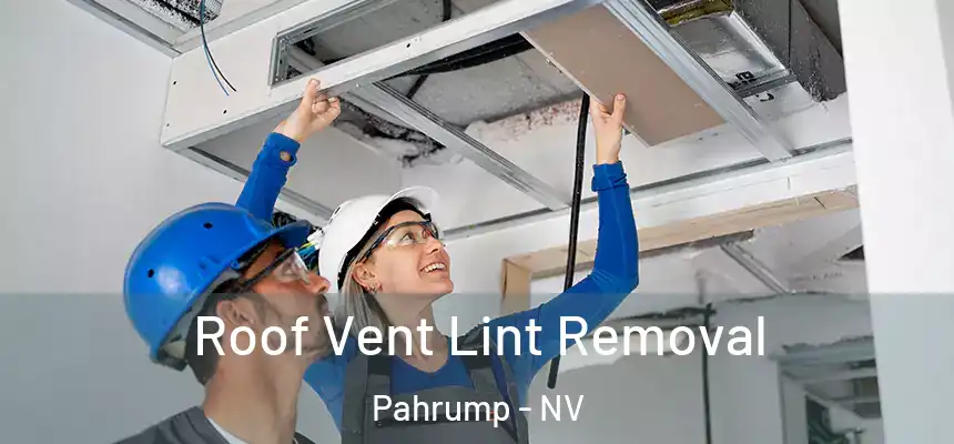  Roof Vent Lint Removal Pahrump - NV