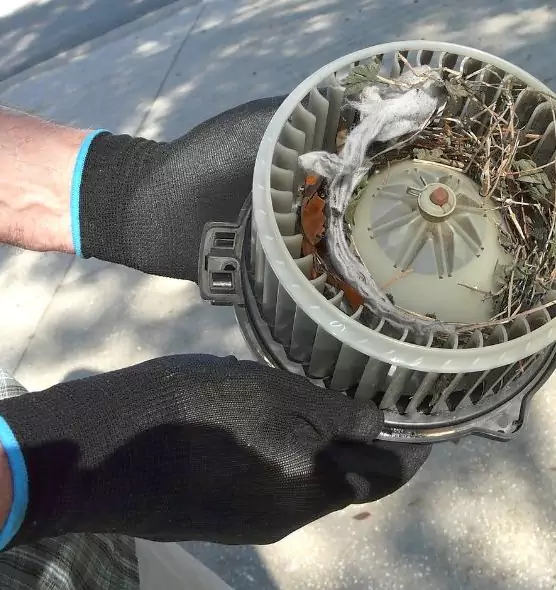 About Air Duct Mice Removal in Pahrump, NV