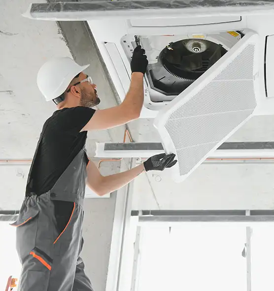 About Air Duct Rodent Removal in Pahrump, NV