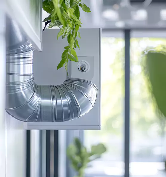 Professional Eco-Safe Dryer Vent Cleaning in Pahrump, NV