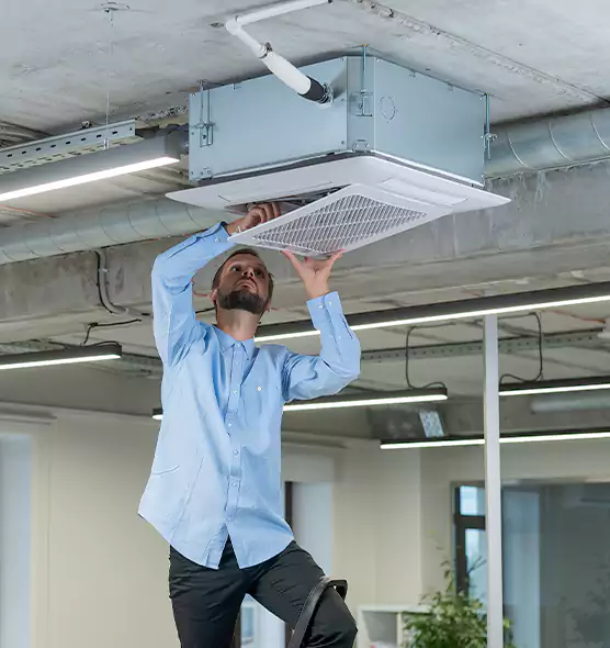 Advanced Rodent Droppings In Vents in Pahrump, NV