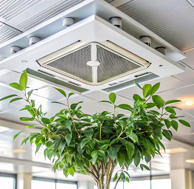 Why Homeowners & Businesses Trust Us in Pahrump, NV